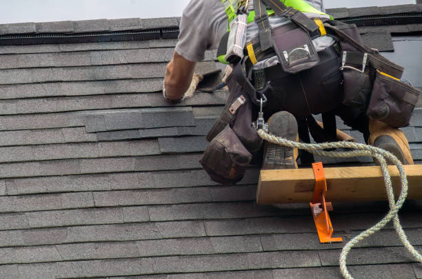 Best Roof Gutter Cleaning  in Bruce, MS
