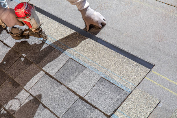 Best Roof Maintenance Services  in Bruce, MS